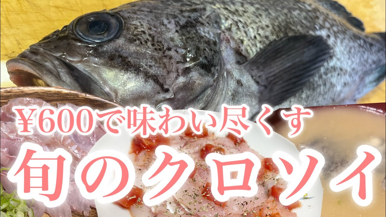 【魚料理】脂ノリノリのクロソイを味わい尽くす！