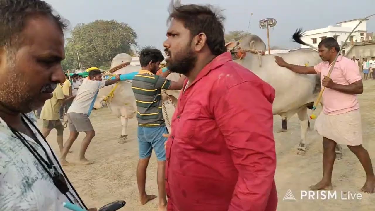 ఆకవీడు గ్రామం||సీనియర్స్ విభాగం 7వ జత MVSR BULLS మార్తాల వెంకట సుబ్బారెడ్డి గారు 2-2-2026💥💥