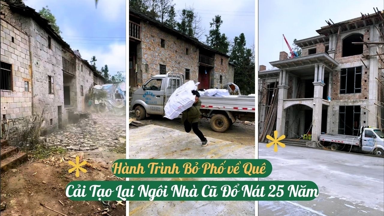 Full Version | Hành Trình Bỏ Phố Về Quê Cải Tạo Ngôi Nhà Cũ Nát 25 Năm Tuổi | Đông Tần #caitaonha