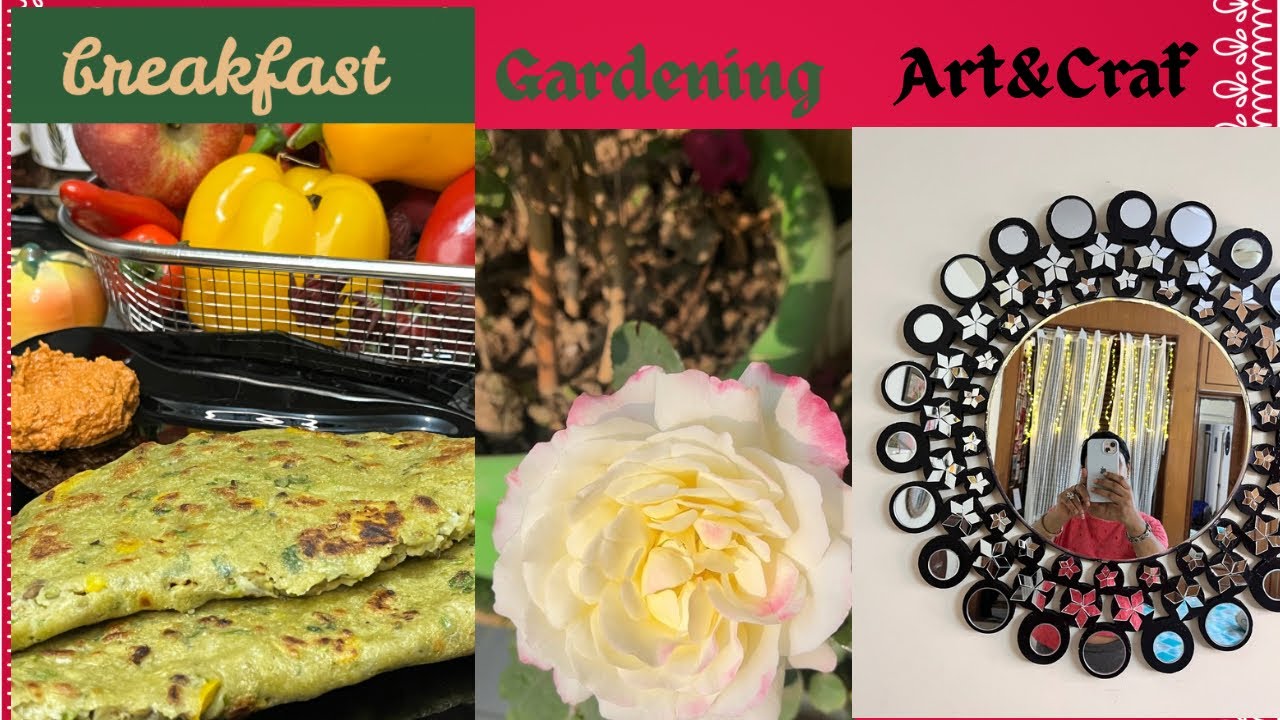 आज कुछ स्पेशल किया मैंने…..Healthy breakfast 👩‍🍳👩‍🍳Gardening 🌸🌹Art&Craf 🌝✨