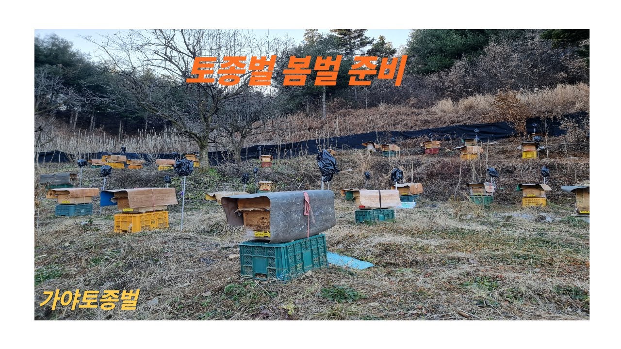 토종벌 봄벌 깨우기 전에 준비하기