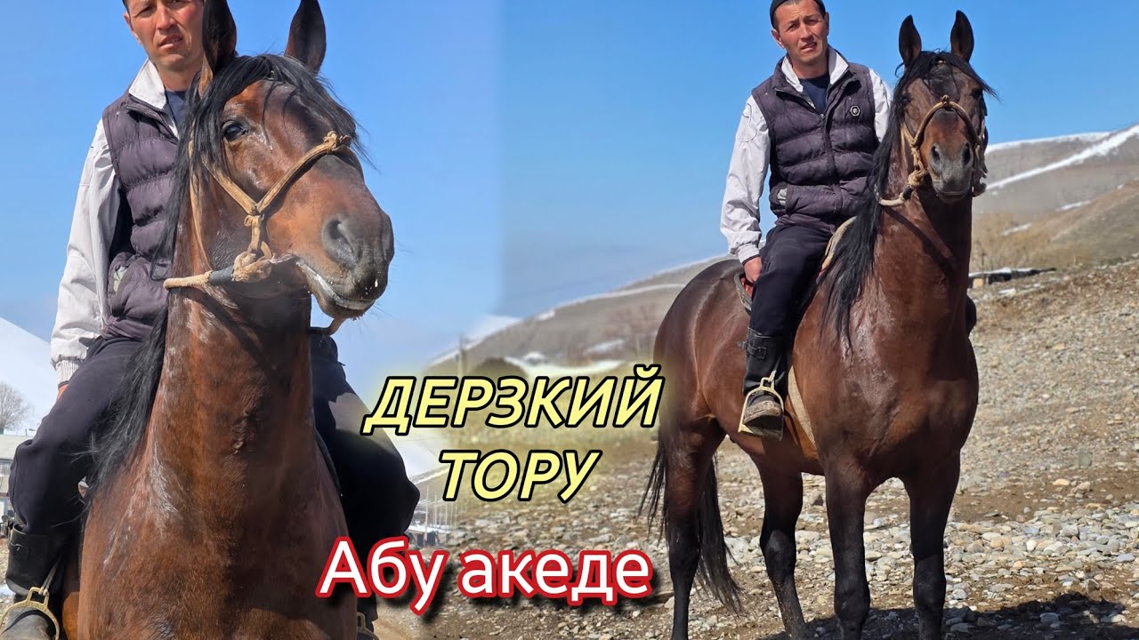 Аби акенин ТОРУСУ КҮЧТҮҮ ЧЫКТЫ ДЕДИ