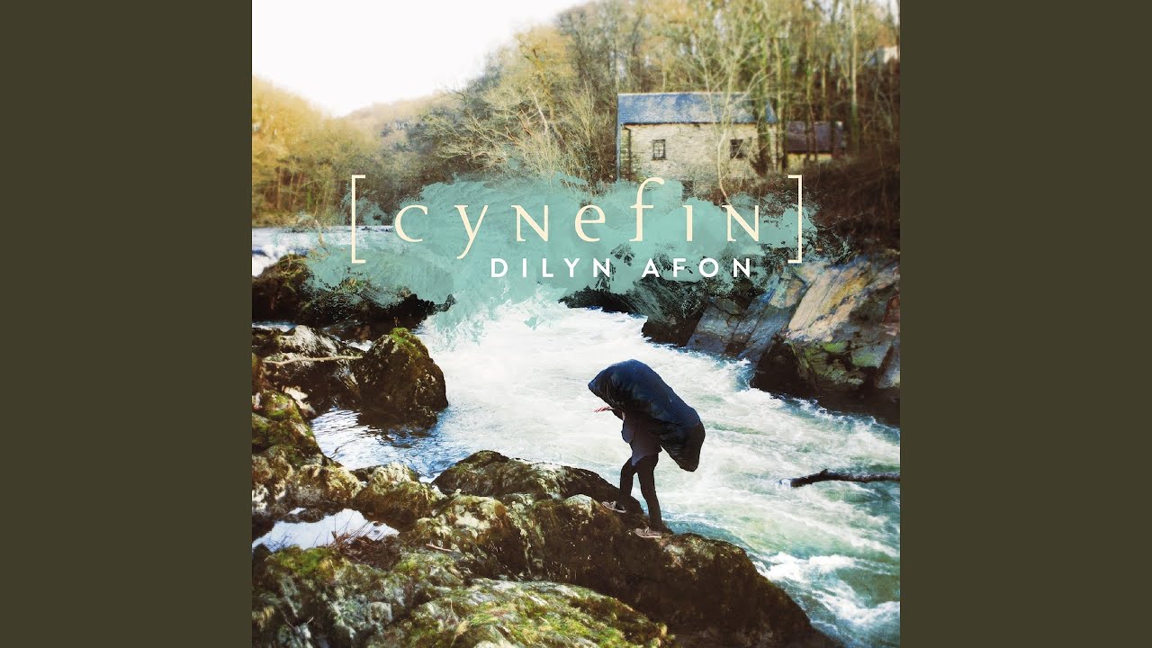 C&acirc;n Dyffryn Clettwr