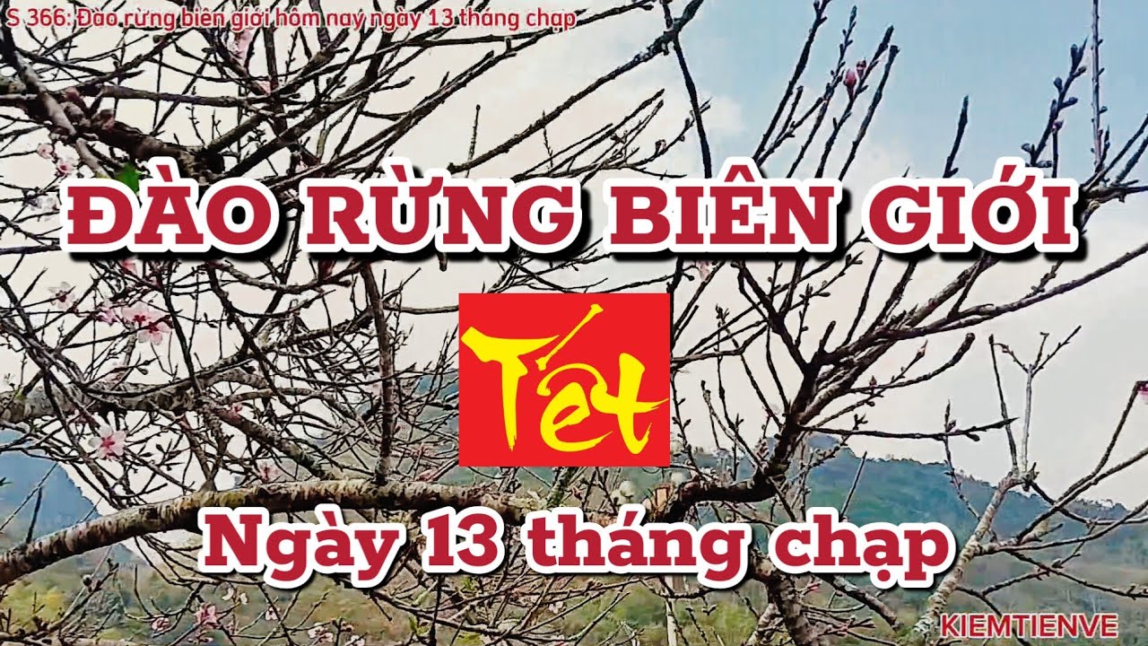 ĐÀO RỪNG BIÊN GIỚI NGÀY 13 THÁNG CHẠP