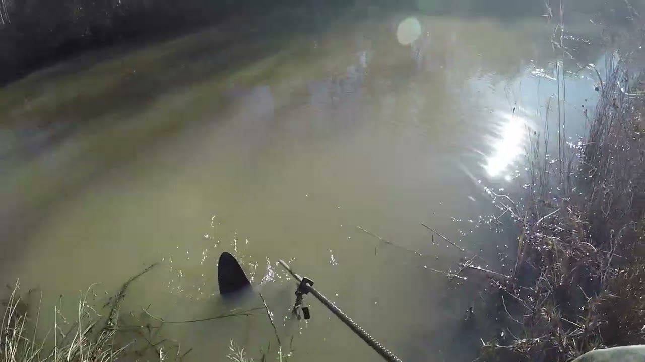 # Drain ditch Beaver #3 plz subscribe 
