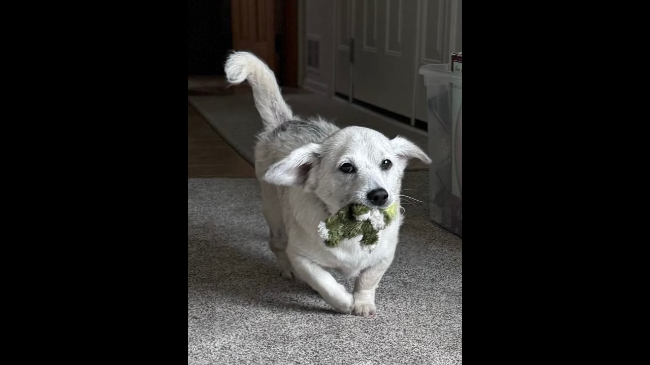 Zoomin'