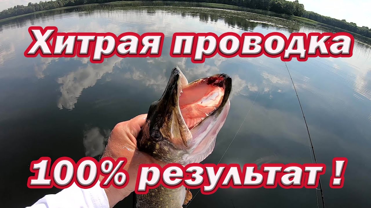 Хитрая проводка Даёт 100% РЕЗУЛЬТАТ В Жару по Щуке!!! Вы НЕ ПОЖАЛЕЕТЕ испытав этот метод! Рыбалка