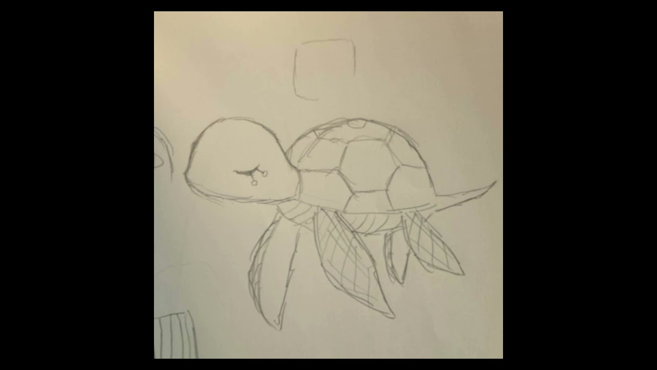 晚安。海龜寶寶