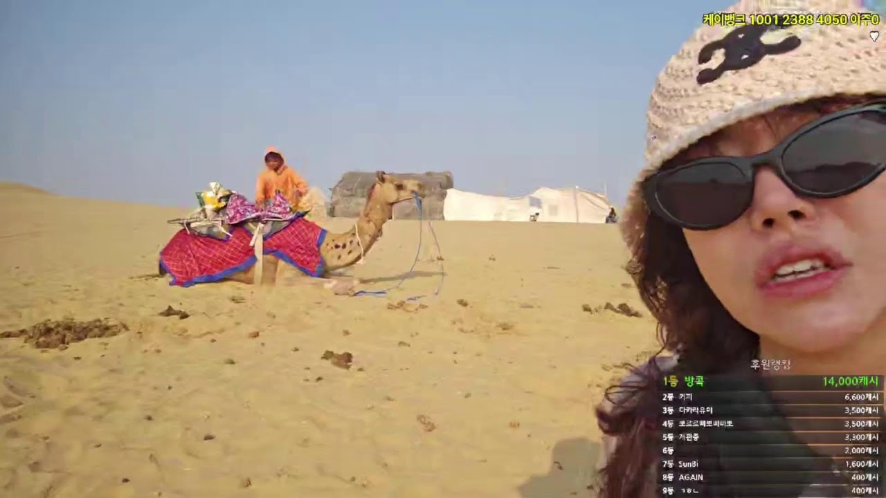 인도 자이살메르 여자혼자 사막 노숙🏜 #Desert 2