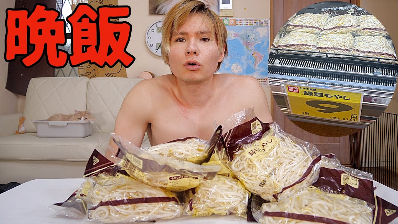 9円のもやし大量購入して１００%ハンバーグ作ったぞ!!【金欠】　PDS