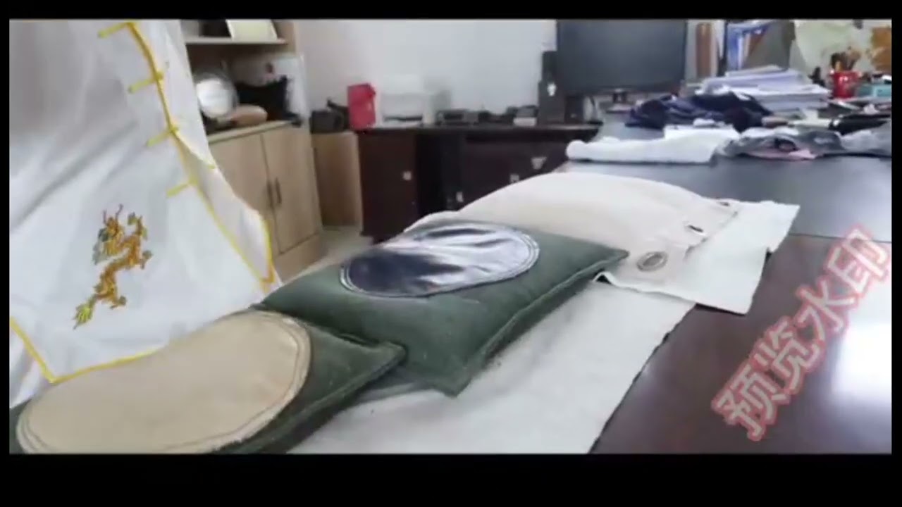 Mestre Li Feilin Taiji Tanglang Quan