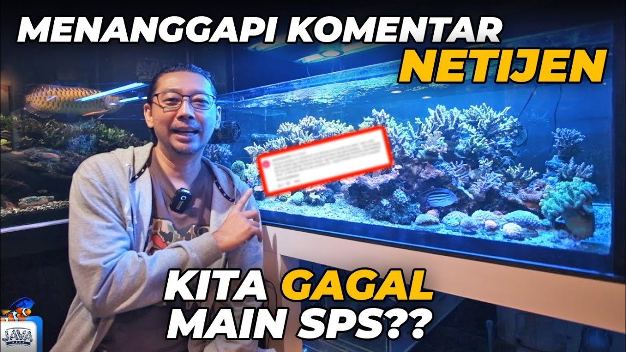 EMANG BENER CORALNYA ENGGAK BERKEMBANG ?! INI DIA KONDISI TANK SPS DI JAVA!