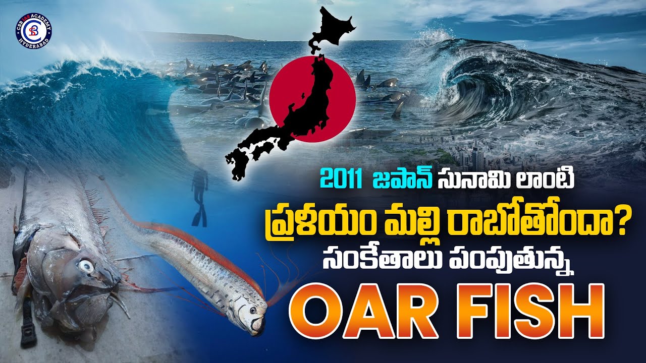 2011 జపాన్ సునామీ లాంటి ప్రళయం మళ్లీ రాబోతుందా..?|| సంకేతాలు పంపుతున్నా OAR FISH..#oarfish #tsunami