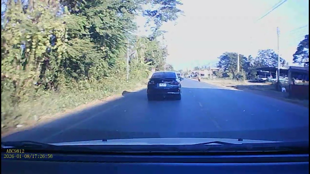 VID 20260108 195