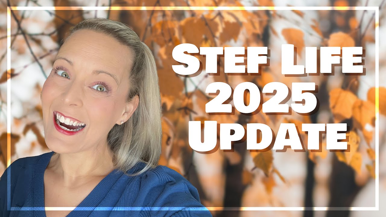 Обновление Stef за март 2025 г.