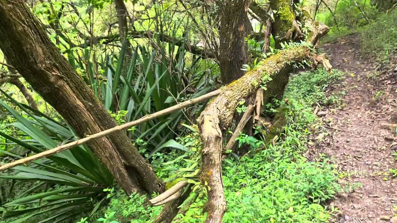 CAMINATAS Y AVENTURAS AL EXTREMO HOLA BUENOS DIAS UN GUSTO ESTAS CON TODOS USTEDES DE NUEVO 