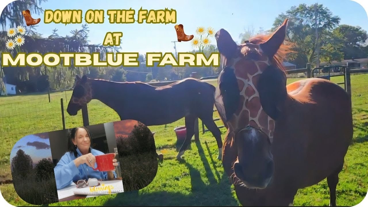 DOWN ON THE FARM