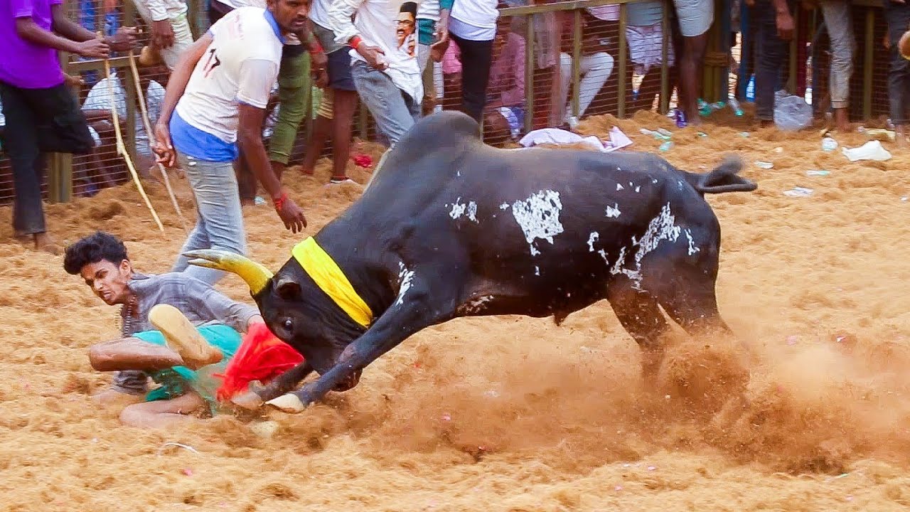 2026 தச்சங்குறிச்சி ஜல்லிக்கட்டு Hilights, Thatchangurichi Jallikkattu, குகை முருகன் கோவில்