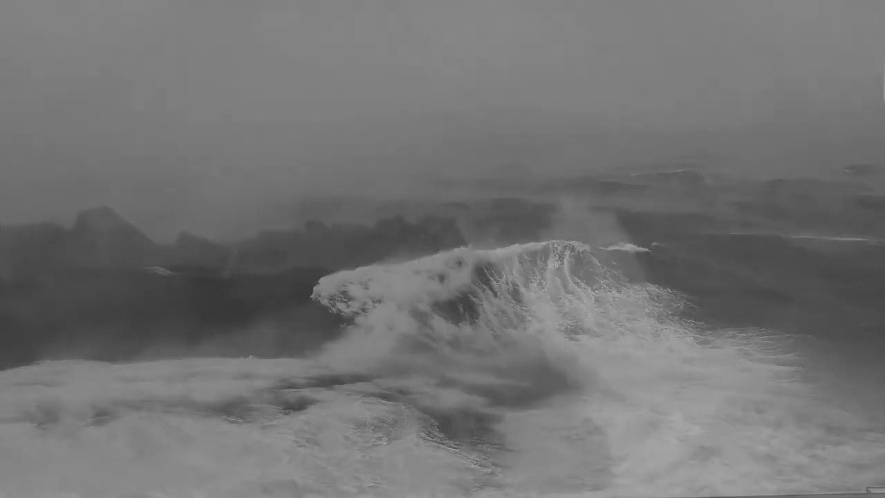 Storms At Sea | The Warratahs