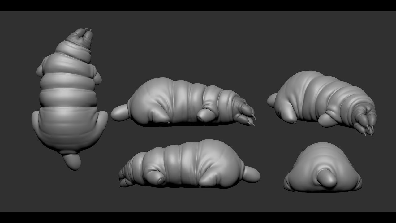Speed Sculpt Zbrush - Bug