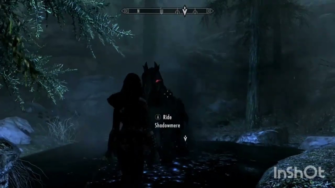 Ксельзаз: Свадьбы, шуты и переоцененные повара