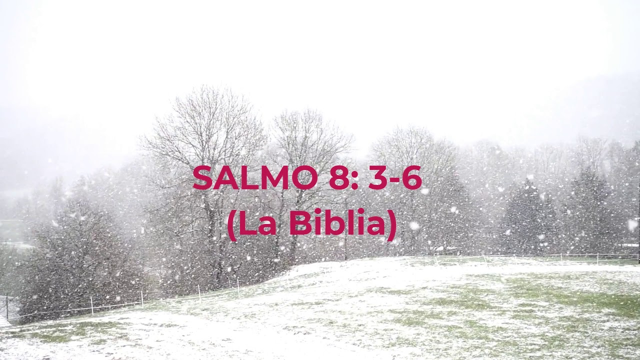 CUANDO VEO TUS CIELOS (Salmo 8:3-6) Peregrinos y Extranjeros