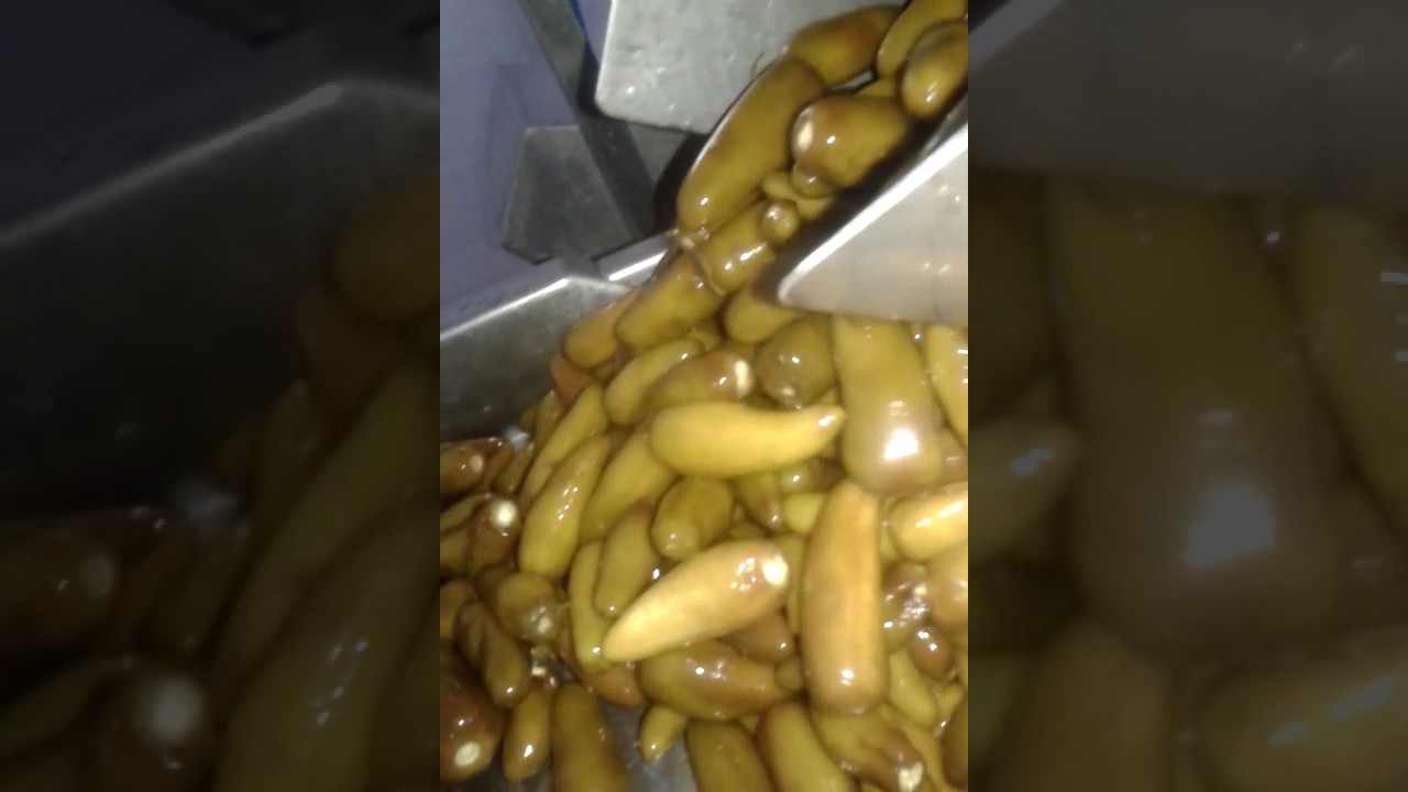 Jelepone Doğrama Makinası Biber Doğrama Makinası Umse Makina