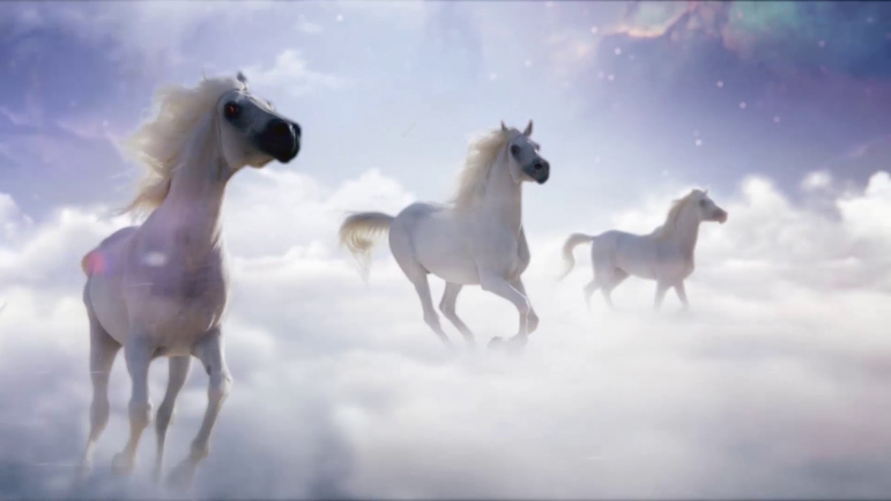 Dubai Racing Channel identity video