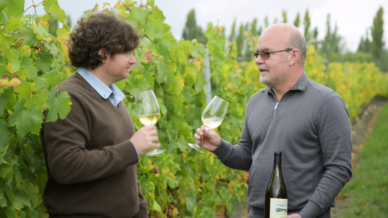 The Adrianna Vineyard by Eugenio Jardim