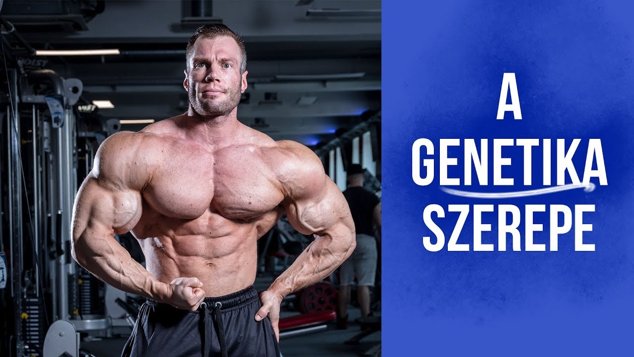 Molnár Peti: A genetika szerepe