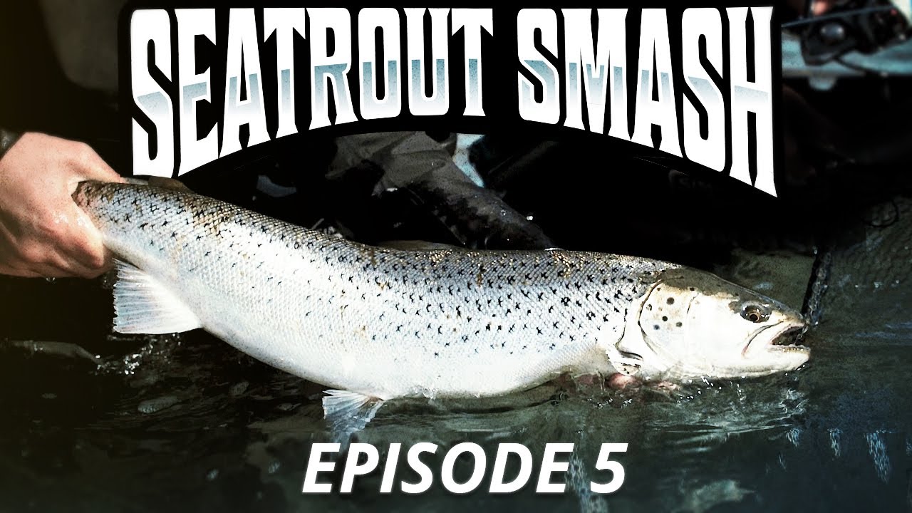 Seatrout Smash 3 - Episode 5 (Valgfri Dag)