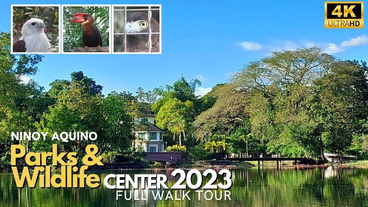 Parks & Wildlife 2023| [4K] Walk Tour in Quezon City #philippines
