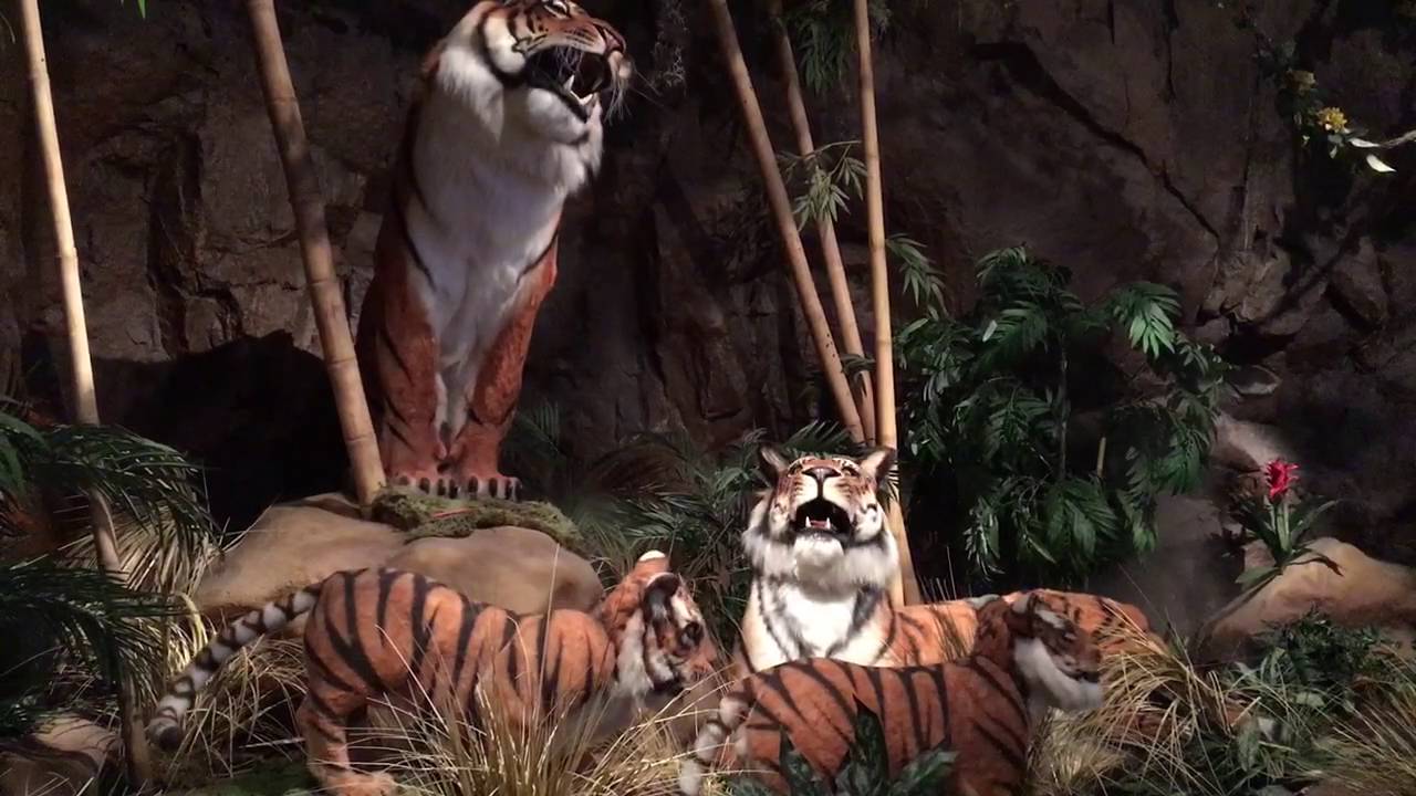 Rainforest Cafe