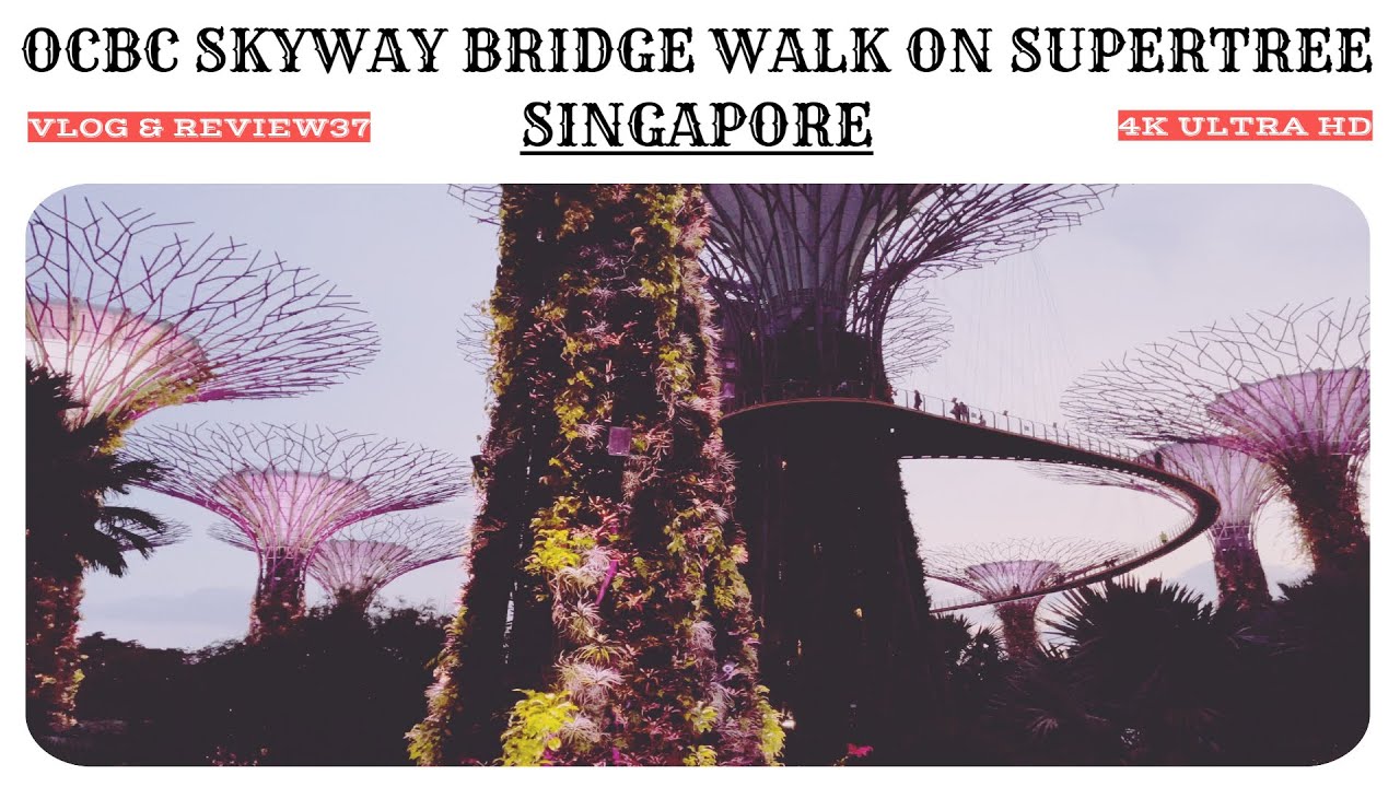 Supertree Grove - Gardens by the Bay Singapore - OCBC Skyway Bridge Walk [ 4K HD ] Garden Rhapsody