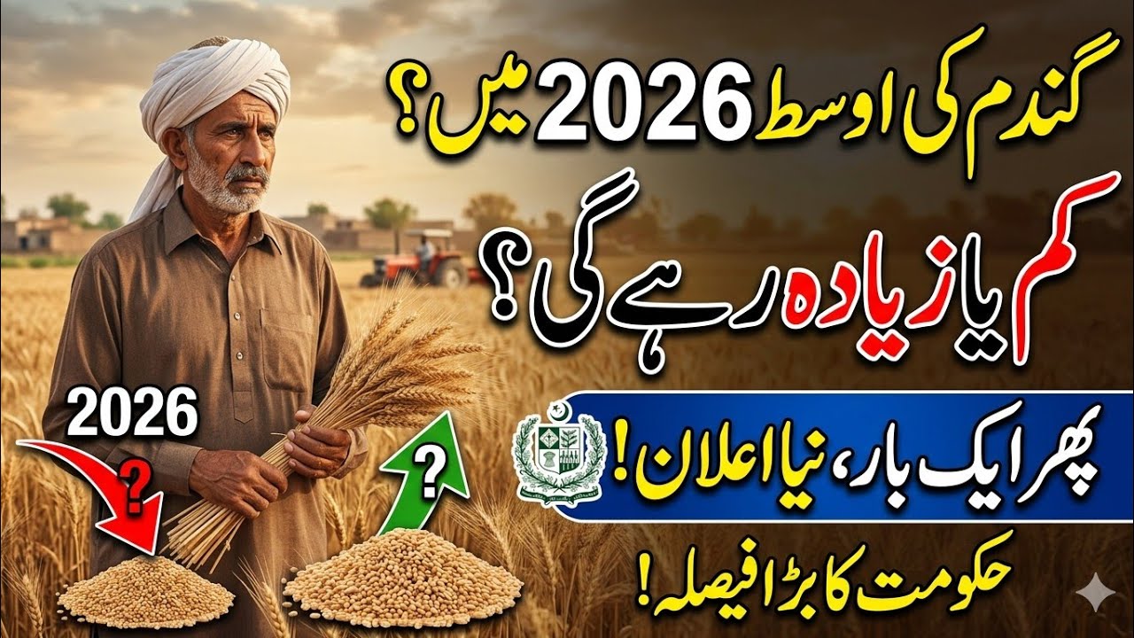 Wheat Market 2026: Prices Going UP or DOWN? Big Update for Farmers! 🌾