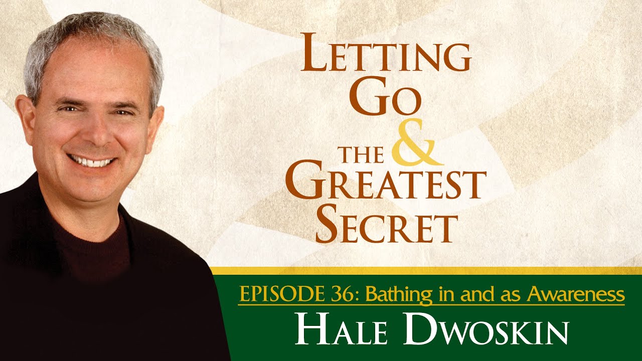 Hale Dwoskin - Bathing in and as Awareness