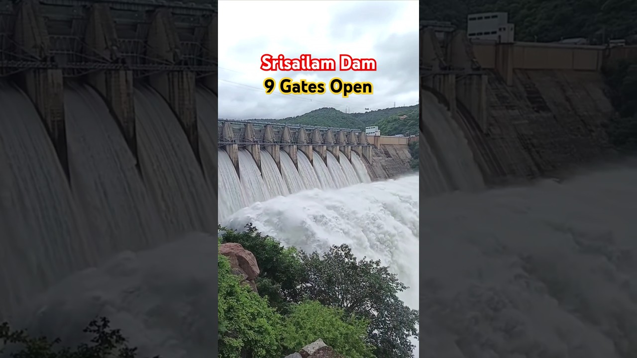 Srisailam Dam 9 Spillway Gates Open #srisailam #dam #gate #open