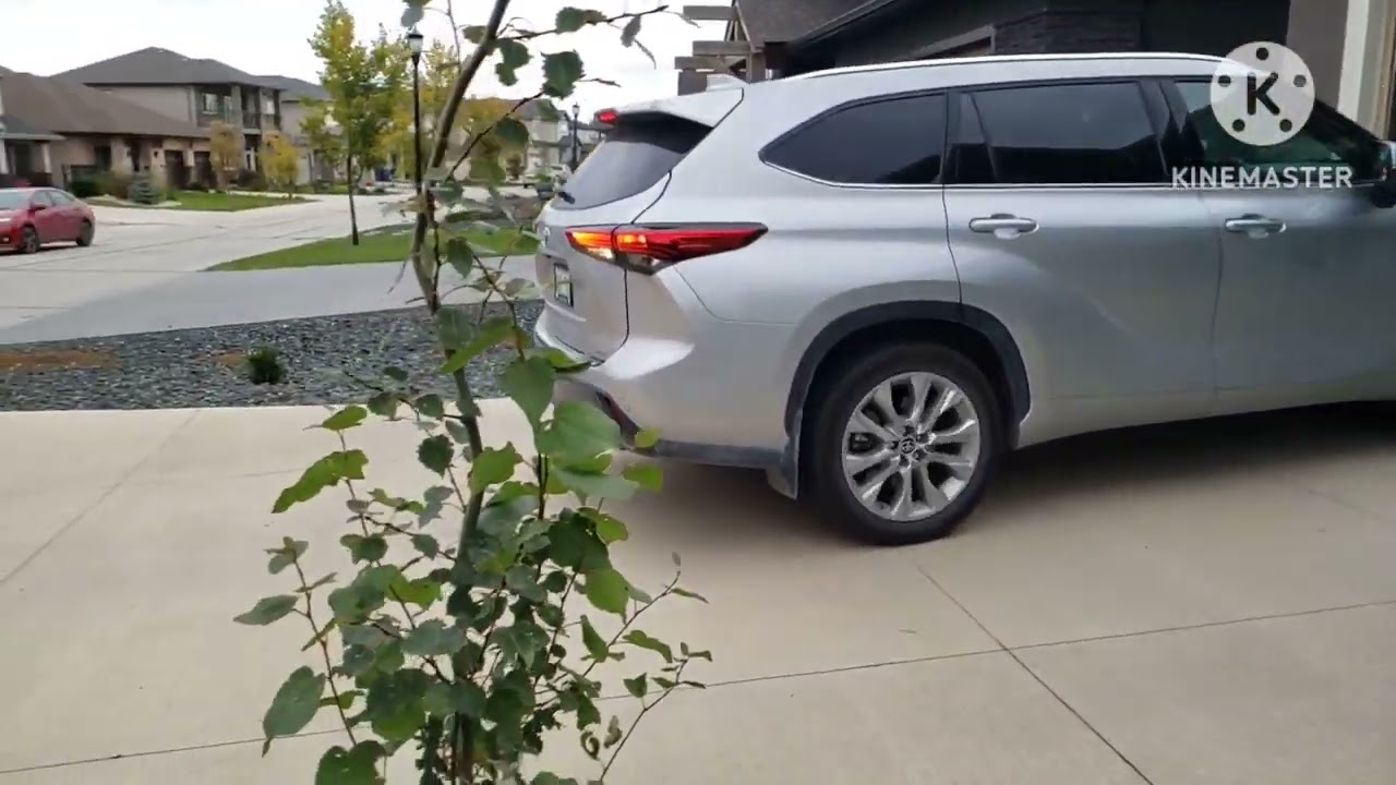 My Dad backing up with 2020 Toyota Hybrid reverse noise