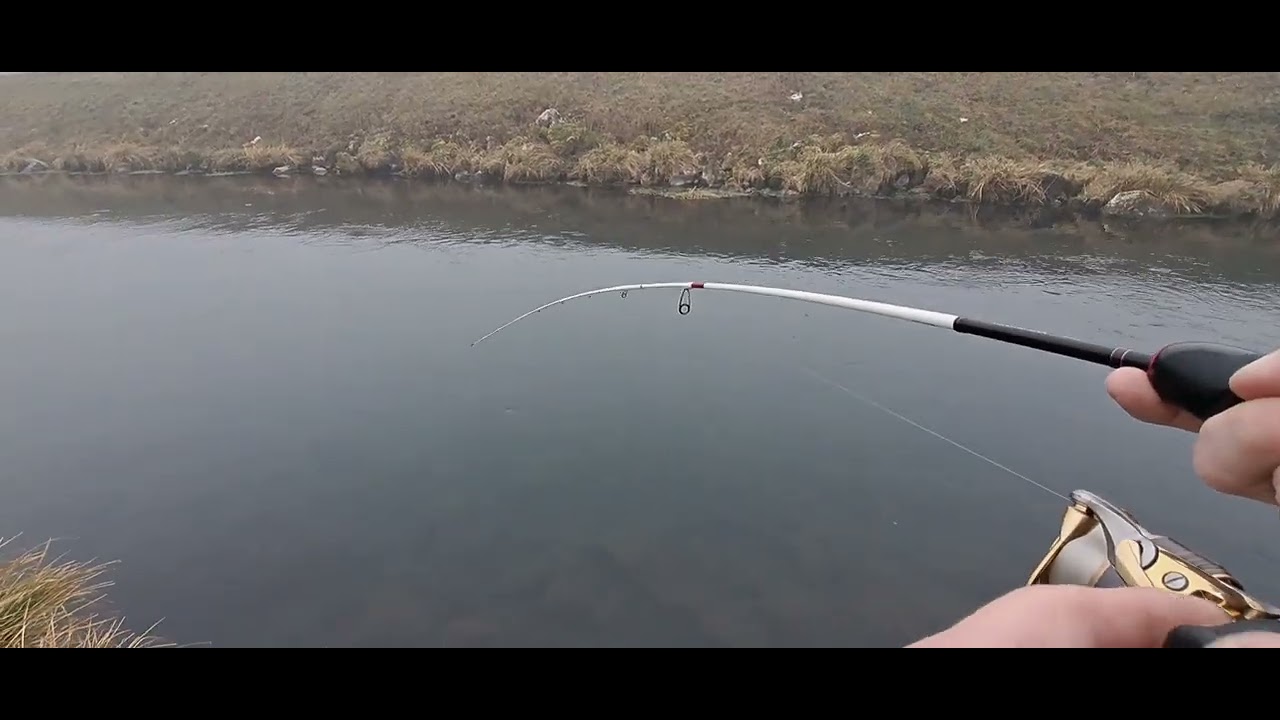 Trout fishing with NEW Berkley Pupa lure