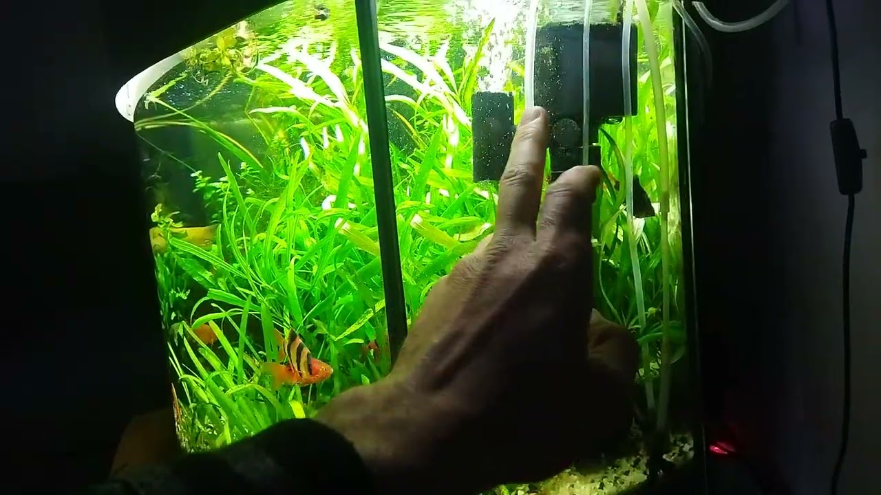 Самодельный донный фильтр спустя 5 месяцев эксплуатации. Делюсь своим опытом.