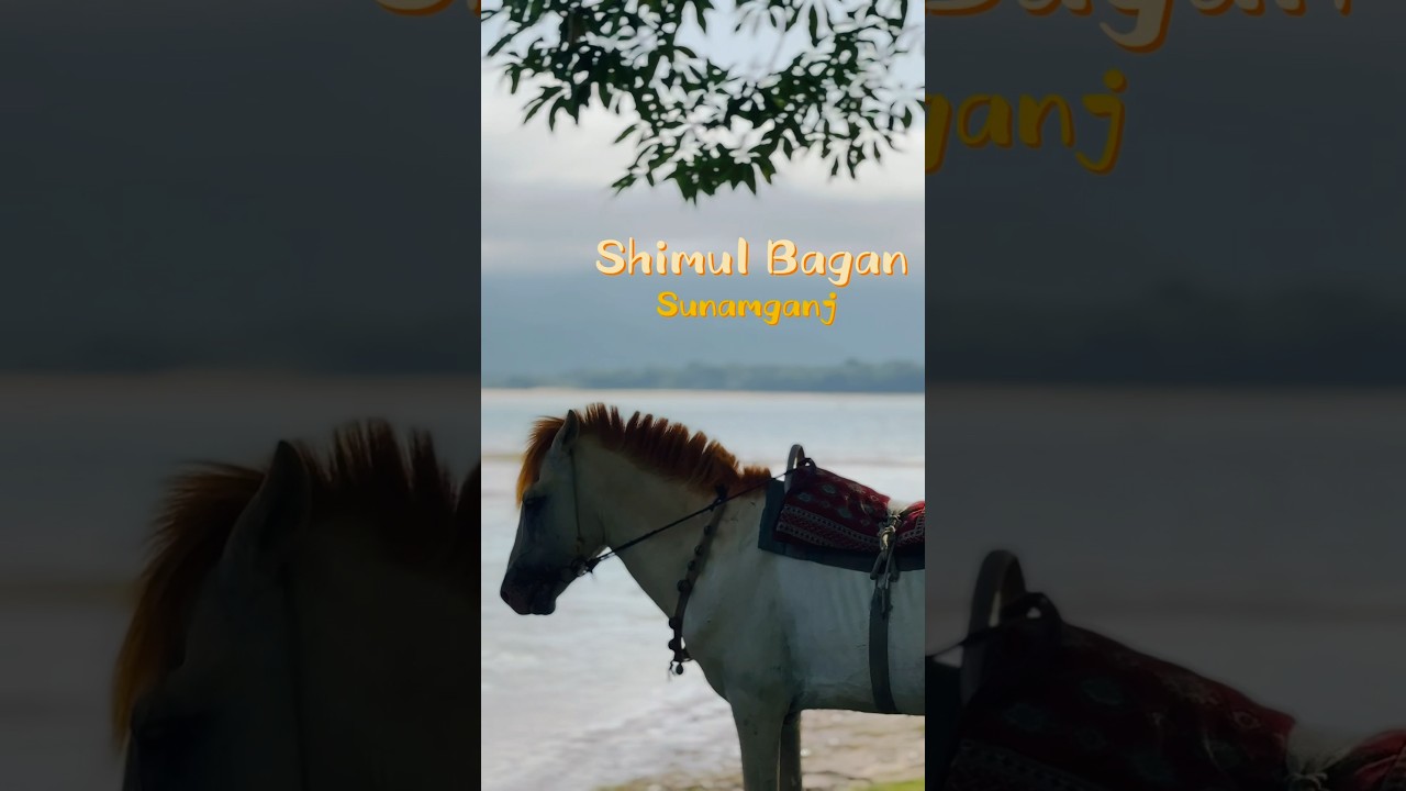 SHIMUL BAGAN | SUNAMGANJ #foryou #love #travel #cinematic