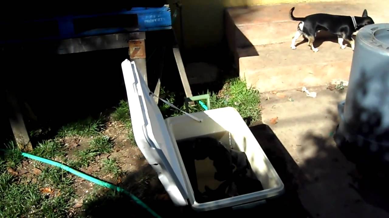 cleaning smart pots and the outdoor...