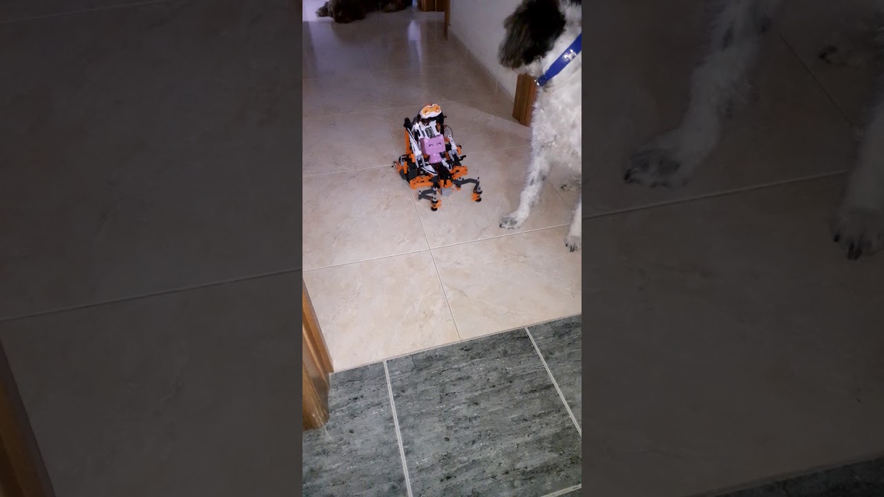 Cuando inventan asi