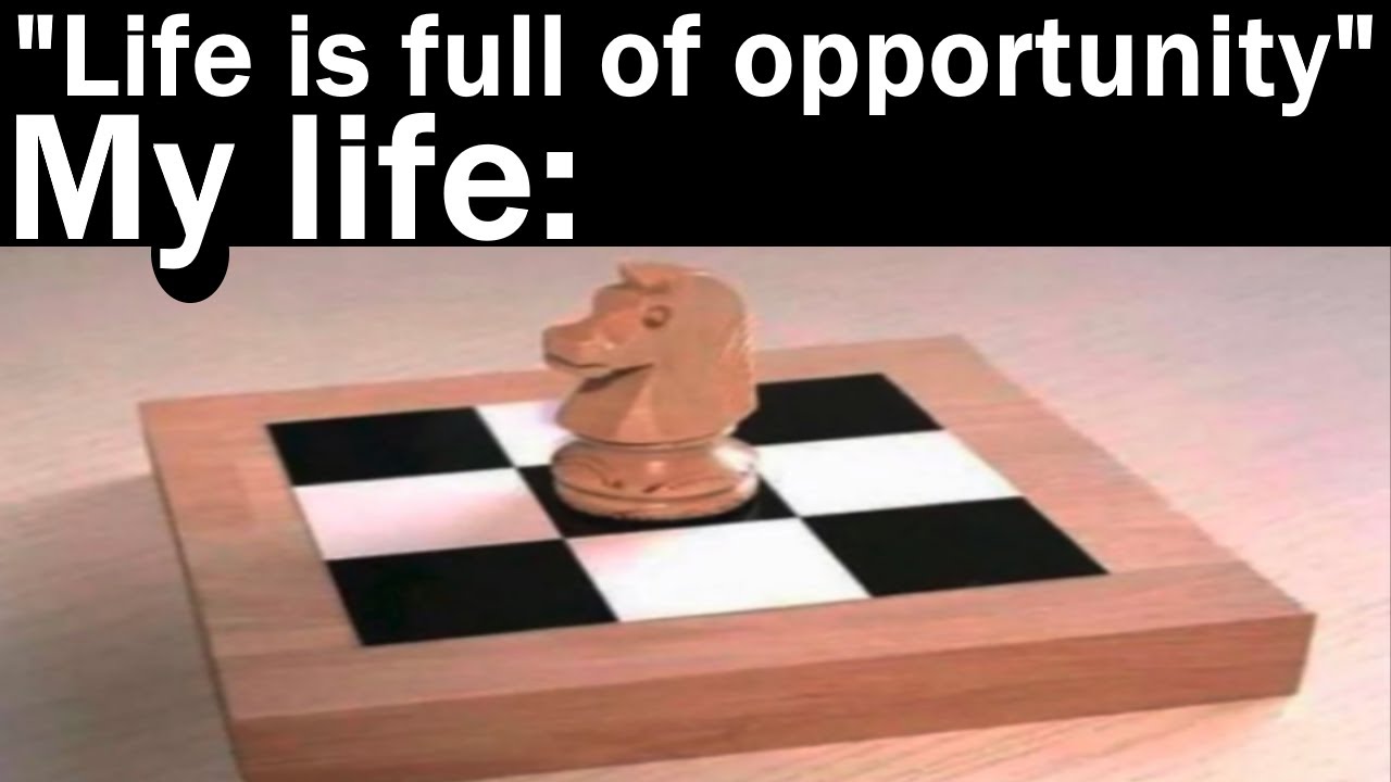 Memes That Are Full Of Opportunity || Nightly Juicy Memes #165