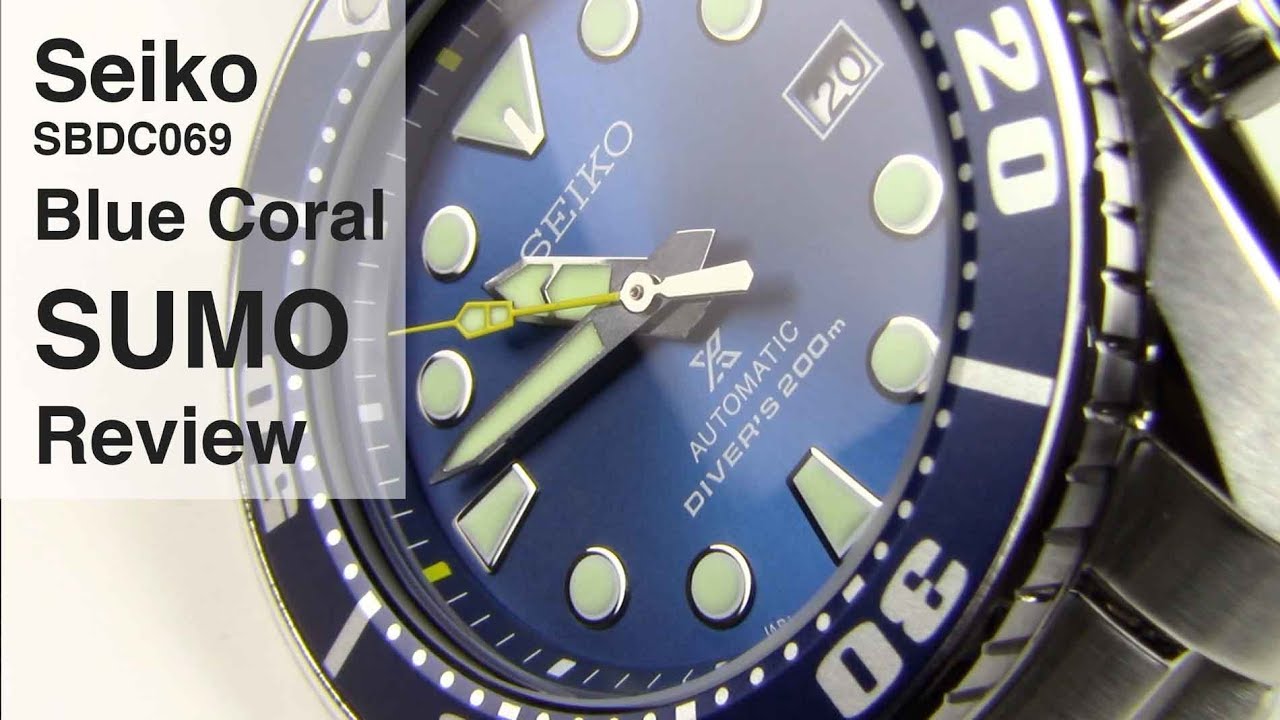 Seiko SBDC069 Blue Coral Sumo Review