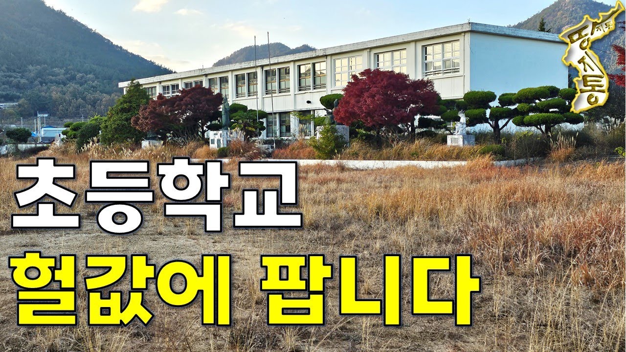 초등학교 폐교되어 또 헐값에 매물로 나왔습니다.땅4,288평,건물7동[땅지통]