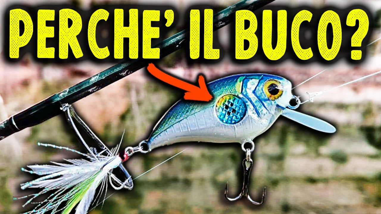 ESCA COL BUCO | Dalla Costruzione alla Cattura + GIVEAWAY!