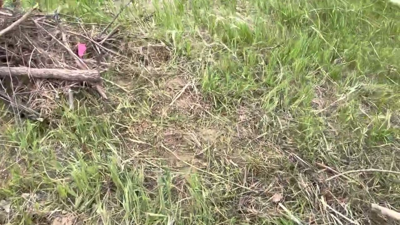 Tour of crater garden and future hobbit home site