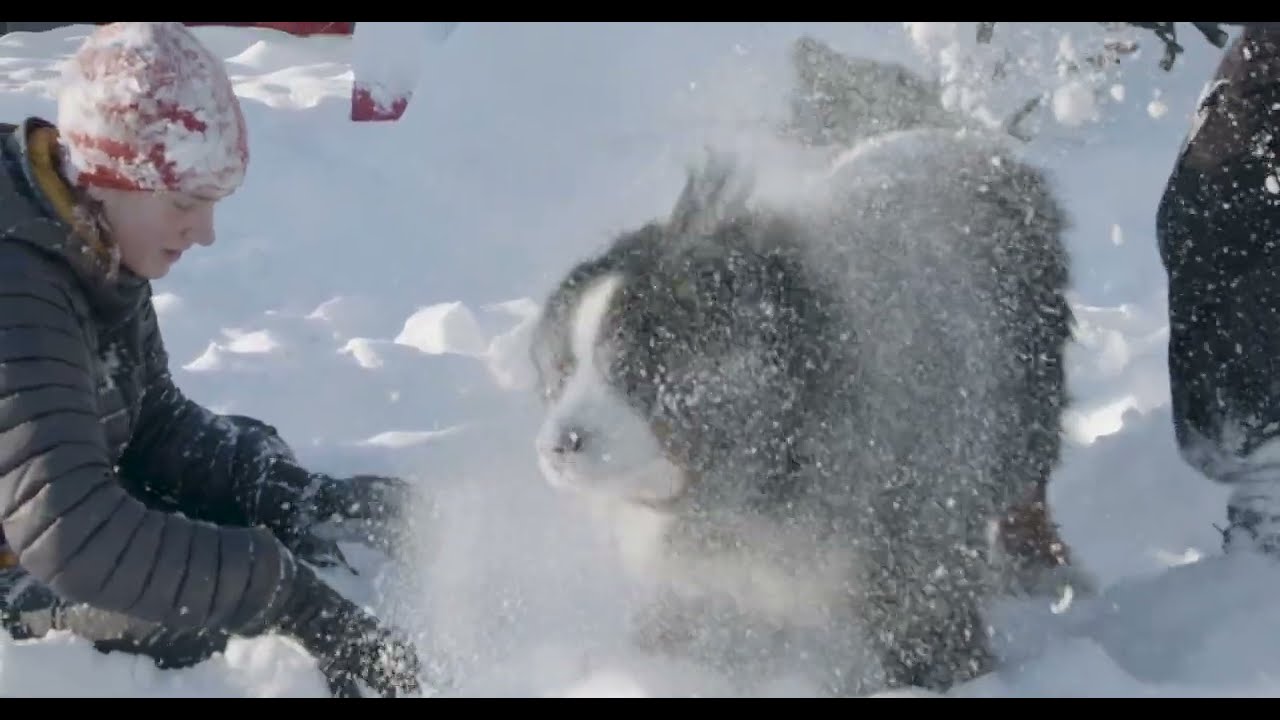 'sno business like snow business
