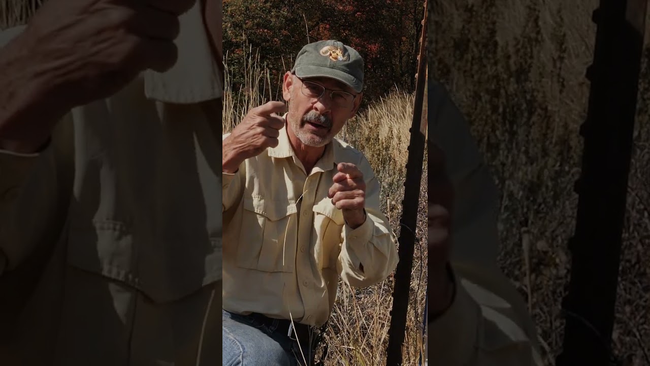 Как ПРАВИЛЬНО стрелять из винтовки